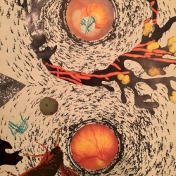 Symbiosis, Vol. 1