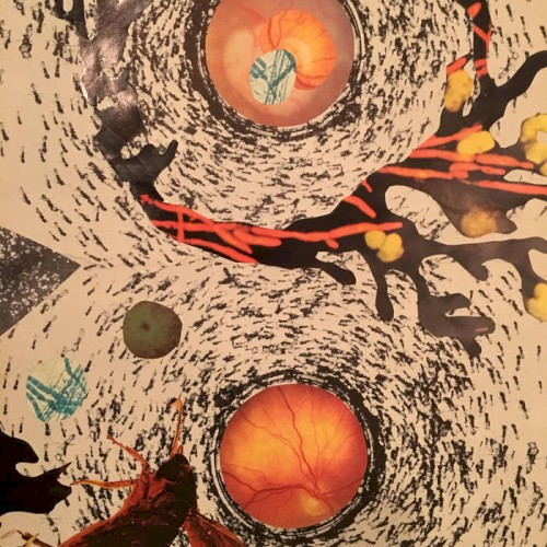Symbiosis, Vol. 1