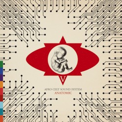 Volume 5: Anatomic