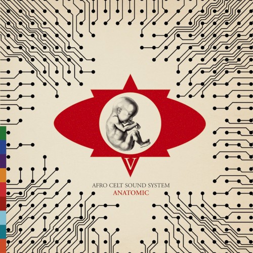 Volume 5: Anatomic