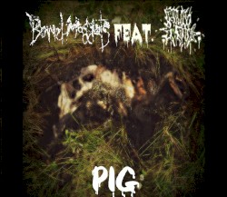 Pig