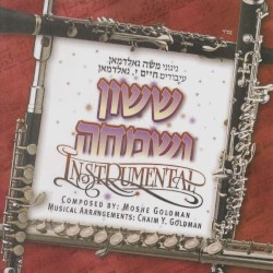 Sason Vesimcha