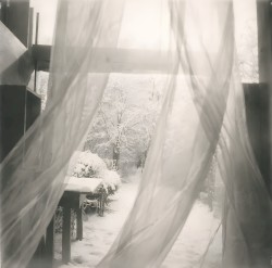 Between Frost and Promise