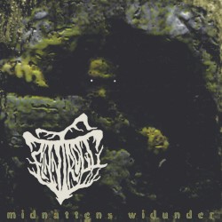 Midnattens widunder