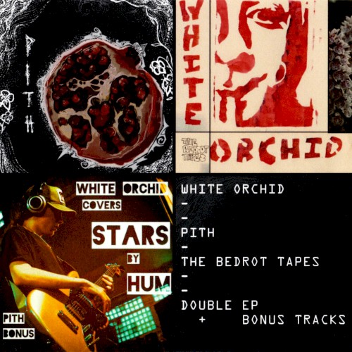 Pith / The Bedrot Tapes