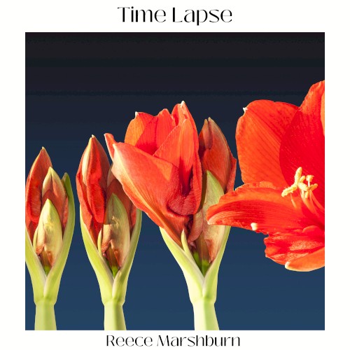 Time Lapse