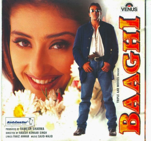 Baaghi