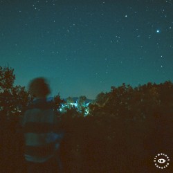 Halcyon