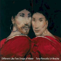 Different Like Two Drops of Water