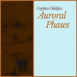 Auroral Phases