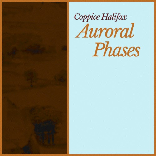 Auroral Phases