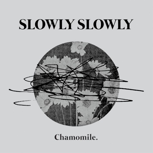 Chamomile