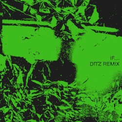 If.... (Ditz remix)