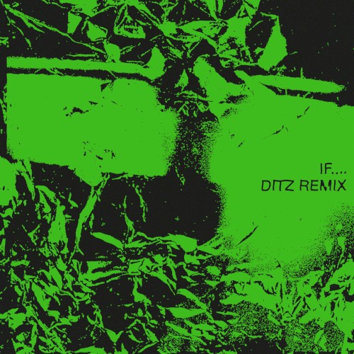 If.... (Ditz remix)