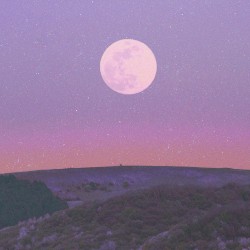 Moonlight