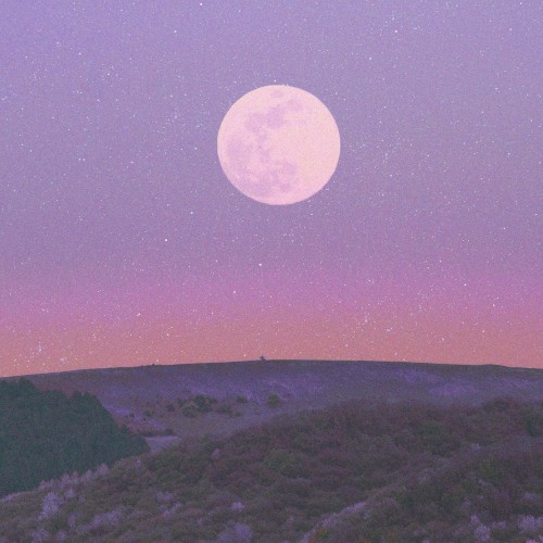 Moonlight