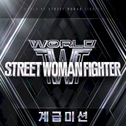 WORLD OF STREET WOMAN FIGHTER(WSWF) Original Vol.2 (Class Mission)