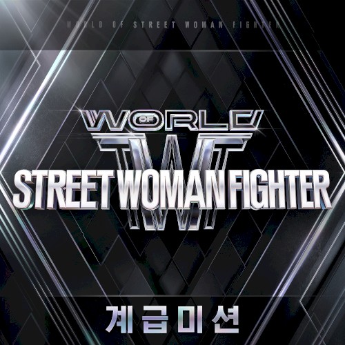 WORLD OF STREET WOMAN FIGHTER(WSWF) Original Vol.2 (Class Mission)