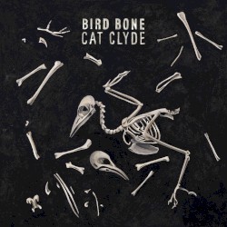 Bird Bone