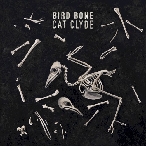 Bird Bone
