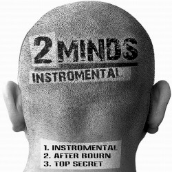 Instromental