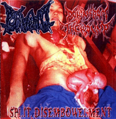 Split Disembowelment