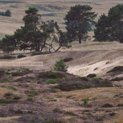 Fallow Lands