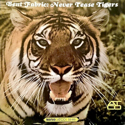 Never Tease Tigers
