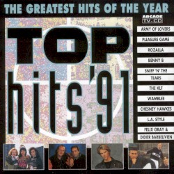 Top Hits ’91: The Greatest Hits of the Year