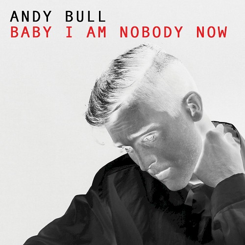 Baby I Am Nobody Now