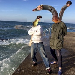 Demandez l'impossible