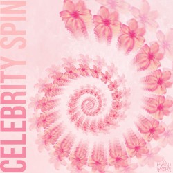 Celebrity Spin