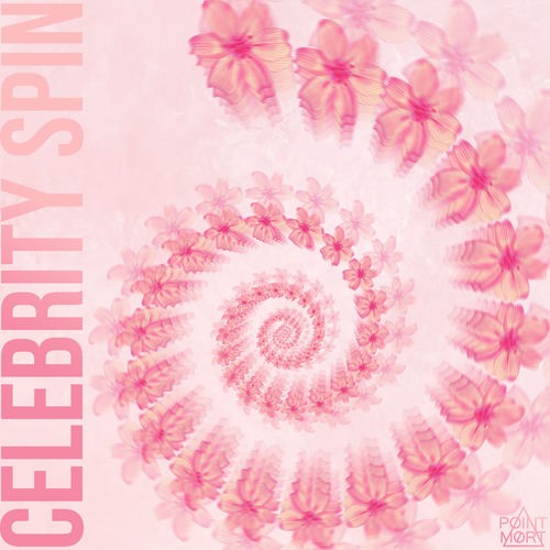 Celebrity Spin