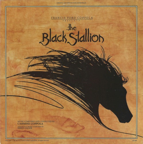 The Black Stallion