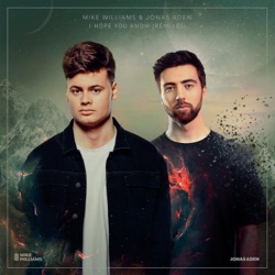 I Hope You Know (Remixes)