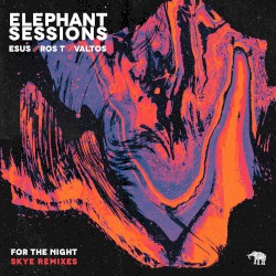 For the Night (Skye remixes)