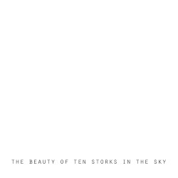 THE BEAUTY OF TEN STORKS IN THE SKY