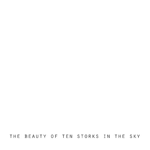 THE BEAUTY OF TEN STORKS IN THE SKY