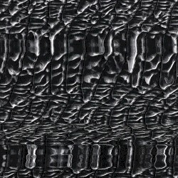 Form