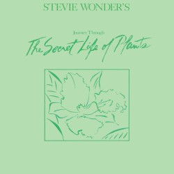 Stevie Wonder’s Journey Through the Secret Life of Plants