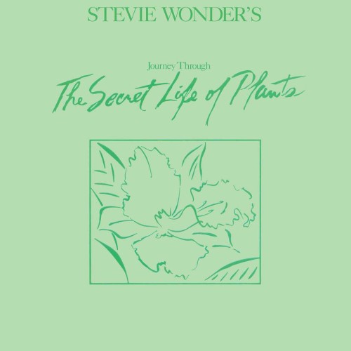 Stevie Wonder’s Journey Through the Secret Life of Plants