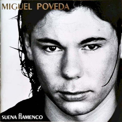 Suena flamenco