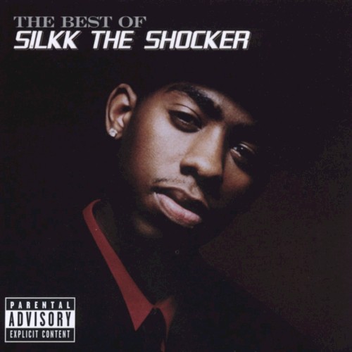 The Best of Silkk the Shocker
