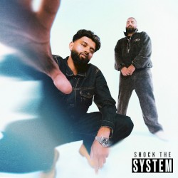 Shock the System