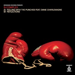 Rolling With the Punches / Reflections