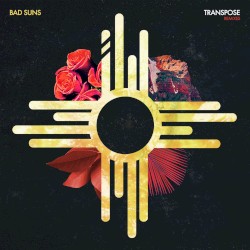 Transpose (Leo Kalyan remix)