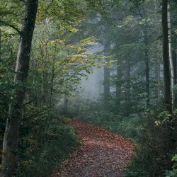 Walking