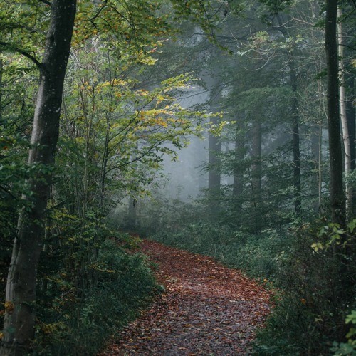 Walking