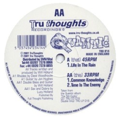 Through These Eyes / Life in the Rain (remix)