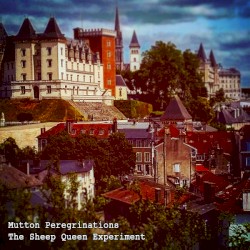 Mutton Peregrinations